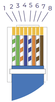 RJ45_male_connector.png